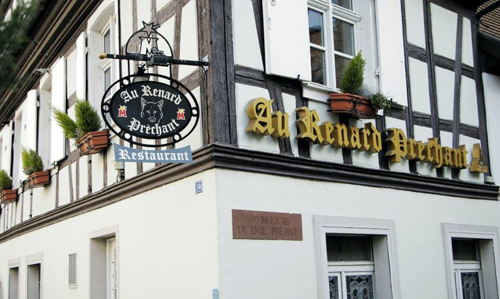 Le Renard Préchant – Strasbourg